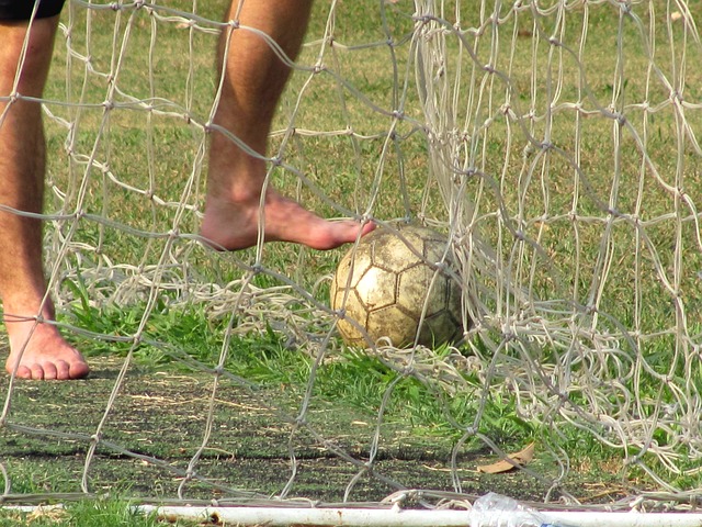 上届世界杯